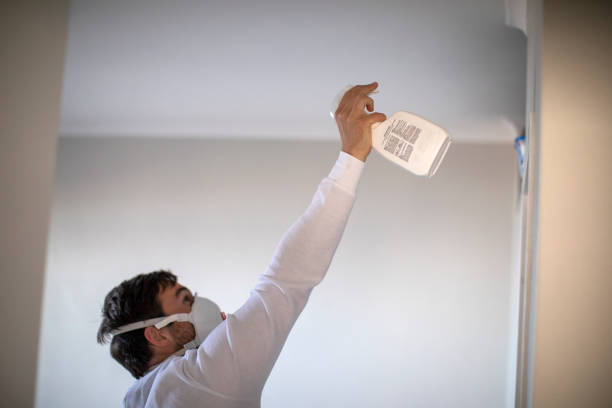 Best Mold Testing  in Palo Cedro, CA