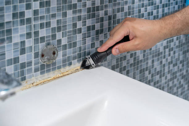 Best Mold Removal Near Me  in Palo Cedro, CA
