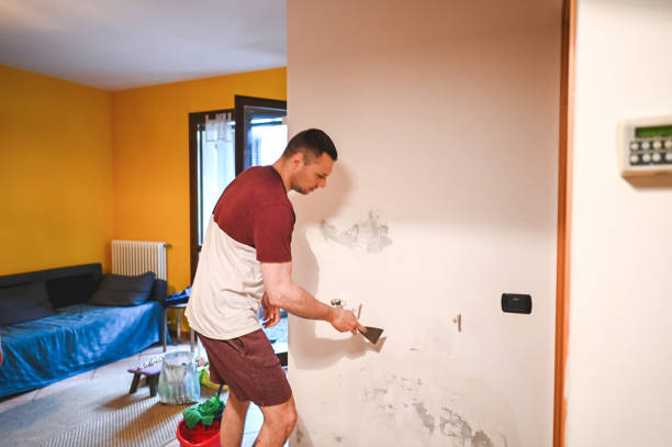 Best Toxic Mold Removal  in Palo Cedro, CA