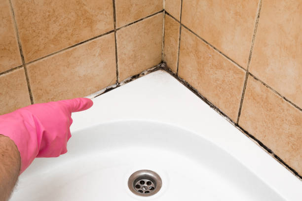 Best Mold Cleaning Services  in Palo Cedro, CA
